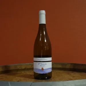 AOP Muscadet <br> 1ere Escale - 2024 <br> Domaine Ménard-Gaborit