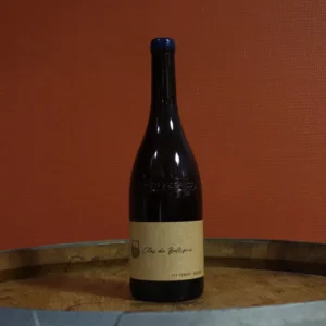 AOP Bonnezeaux <br> Clos de Belligné - 2020 <br> Domaine Les Canons