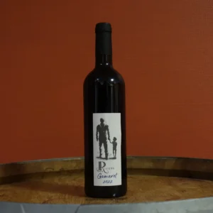 IGP Comtés Rhodaniens <br> Gamaret - 2022 <br> Domaine JP Rivière