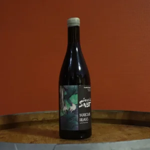 AOP Beaujolais-Villages <br> Sous le Sabot - 2022 <br> Domaine Olivier Renard