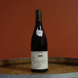 AOP Bourgogne <br> Pinot Noir - 2023 <br> Domaine Chapelle & Fils