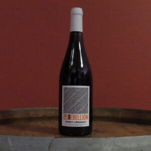 IGP Pays d'Oc <br> En Rébellion - 2025 <br> Domaine Ste Marie des Crozes