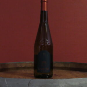 AOP Muscadet Sèvre et Maine <br> l'Arche - 2024 <br> Domaine de la Ganolière