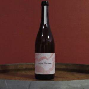 AOP Muscadet Sèvre et Maine <br> Les Pieds sur Terre - 2025 <br> Domaine Ménard-Gaborit