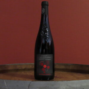 AOP Saumur Rouge <br> l'Épinette - 2025 <br> Domaine des Bénédictins